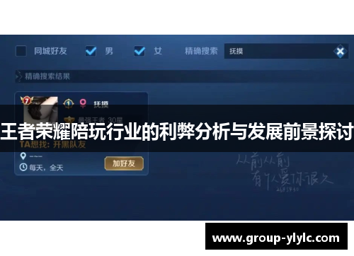 王者荣耀陪玩行业的利弊分析与发展前景探讨
